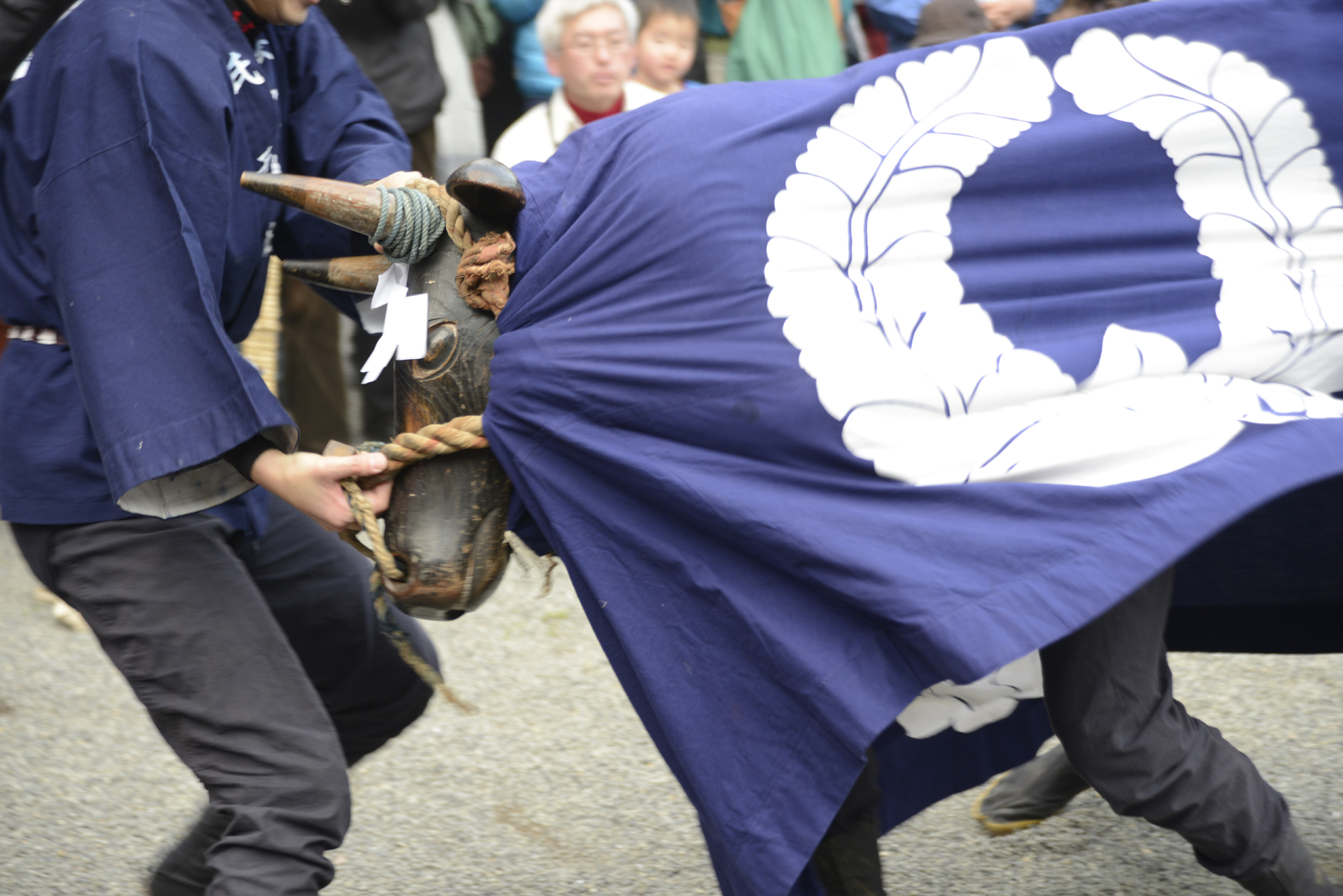 おんだ祭り・牛使い