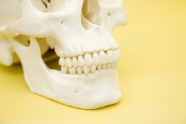 また歯髄の感染が大きいケースでは、炎症が歯を支えている歯槽骨にまで及ぶことがあり、一般的な根管治療では治癒しないという場合も少なくありません。このような場合は外科的な根管治療を選択することがあります